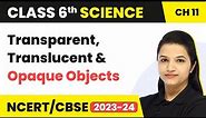 Class 6 Science Chapter 11 | Transparent, Translucent & Opaque Objects - Light, Shadow & Reflections