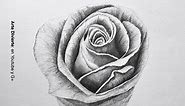 Dibujando flores: cómo dibujar una rosa a lápiz - paso a paso - Arte Divierte.
