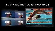 Sony PVM-X Monitor: Quad View Mode