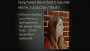 The Evolution of Human Skin Pigmentation