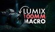 Panasonic LUMIX S 100mm F2.8 Macro Lens | In The Field