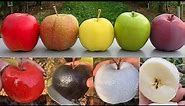 Apple diffrent colours odely satisfying cutting - white apple , black apple , blue apple part - 2