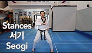 Taekwondo Fundamentals: Various Stances