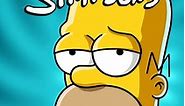 The Simpsons Season 6 - watch full episodes streaming online