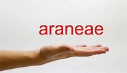 How to Pronounce araneae - American English