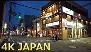 【4K Japan】The Capital City of Akita Pref. | Known for Akita Dog, Namahage and Samurai Districts