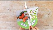 3D Butterfly Life Cycle Paper Craft