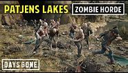 Zombie Horde + NERO Research Site | Rebel Rock Cave, Patjens Lake | Days Gone