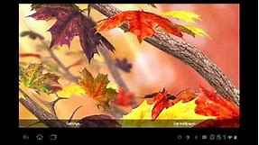 Autumn Tree Live Wallpaper