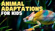 Animal Adaptations for Kids, Learn about physical, life cycle, and behavioral adaptations of animals