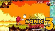 Knuckles punching mod ~ sonic 3 A.I.R mods ~ sonic the hedgehog #sonic #sonic3air #sonicthehedgehog