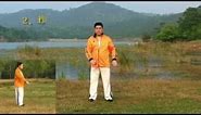 Tai Chi Chuan 28 Forms by Master James Fu(Fu Qing Quan) - Authentic Yang Style