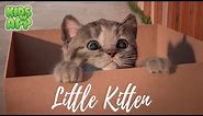 Little Kitten - My Favorite Cat (Fox and Sheep GmbH) - Best App For Kids