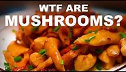 What exactly are mushrooms? What are they made of? They're not vegetables?