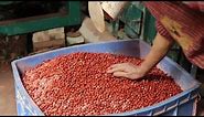 How Gemstone Round Beads Are Made