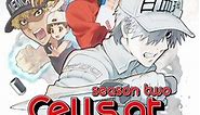 Cells at Work! Season 2 - watch episodes streaming online