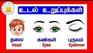 மனித உடல் உறுப்புகள்| Learn body parts name in Tamil and English for kids and children - Tamilarasi