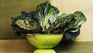 A Leafy Green Vegetable Fanatic's Guide to Buying and Cooking Various Types of Greens