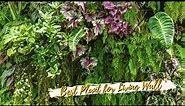 10 Best Plants for Living Wall 🎍🌿 Vertical Garden Plants