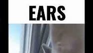 I’m all ears #memes #funny #cat #ears #funnyvideo #lol #catmemes