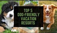 Top 5 Dog Friendly Vacation Resorts with All Inclusive Packages