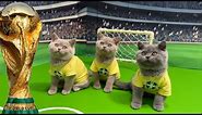 LETS UNLEASH CATS KITTENS WORLD CUP GAME 2!