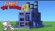 How To Build ACME Labs "Pinky and The Brain"