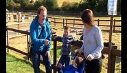 Cbeebies Something Special Learn With Mr Tumble - Animal Rescue