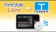 NEW Freestyle Libre 2 Plus CGM For Tandem Pumps!