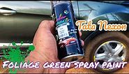 Foliage green spray paint for Tata Nexon || Car paint at Home