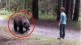 30 Scariest Bear Encounters Ever Caught on Camera