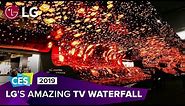 CES 2019: Experience LG's breathtaking OLED TV display