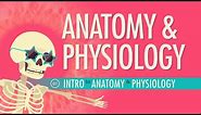 Introduction to Anatomy & Physiology: Crash Course Anatomy & Physiology #1