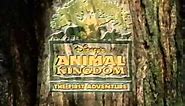Animal Kingdom : The First Adventure