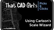 Using Carlson Scale Wizard