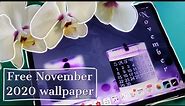 Free November wallpaper set for iPad Pro 11 / How to create a digital wallpaper for iPad