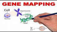 GENE MAPPING/HOW TO DECODE 13q14.3