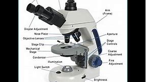 What is Microscope, different types of microscope, work, advantage and working principle