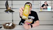 Bird Nest Beverage Taste Test