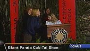 Giant Panda Exhibit