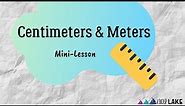 Centimeters & Meters Mini-Lesson
