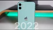 iPhone 11 - The Best iPhone in 2022?