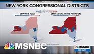 Redrawn New York Congressional Maps Pits Democrats Against Democrats