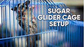 Set Up Your Sugar Glider Cage With Us | How to Set Up Sugar Glider Cage