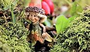 Plant Moss In Your Fairy Garden