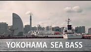 YOKOHAMA SEA BASS