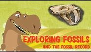 Exploring Fossil Records, How Fossils Are Formed