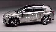 Lexus NX: How to fill with fuel