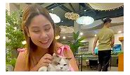 OMG Cat Cafe in Makati | Maueee’s Happy Feet