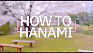 HOW TO HANAMI: What to know about cherry blossom viewing in Tokyo
